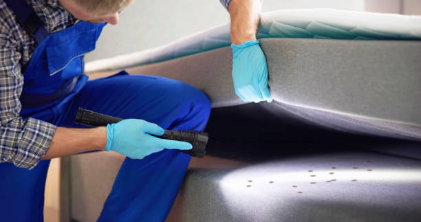 Best Wasp Removal Services  in Beaumont, CA